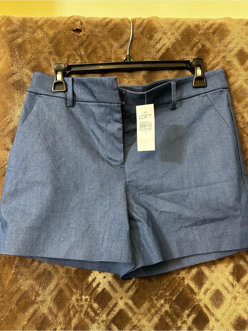 New Loft Chico Shorts in Blue
